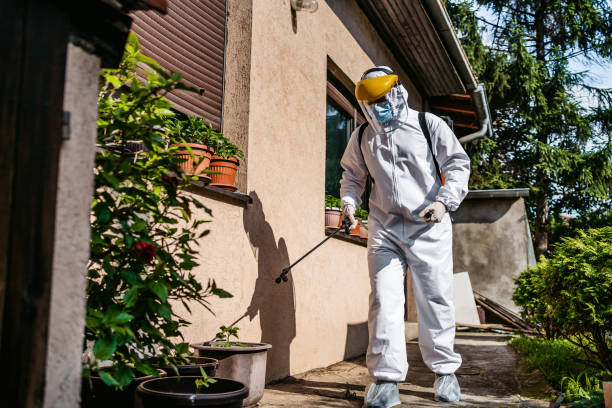Best Bed Bug Extermination  in Ormond Beach, FL