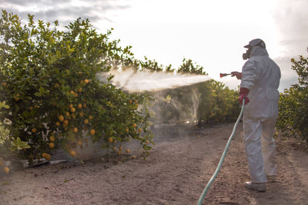 Wildlife Control Services in Ormond Beach, FL