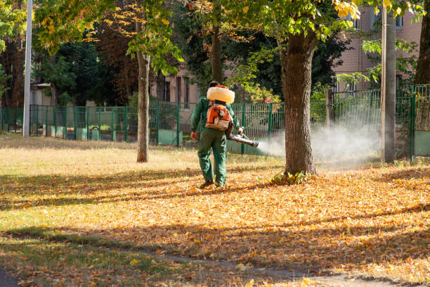 Best Mosquito Control Services  in Ormond Beach, FL
