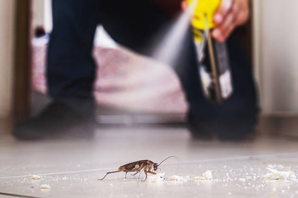 Best Commercial Pest Control Services  in Ormond Beach, FL