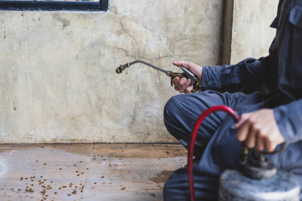 Best Wasp Removal Services  in Ormond Beach, FL